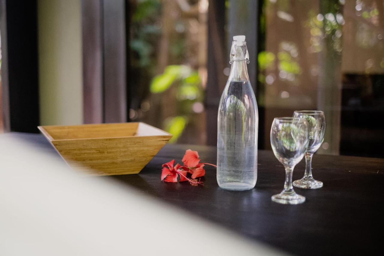 Lua Villas Playa Santa Teresa  Екстер'єр фото